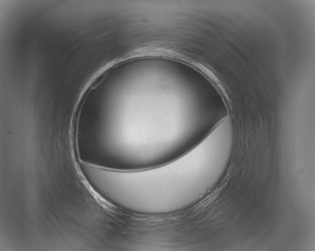 X0000076391438200610060852