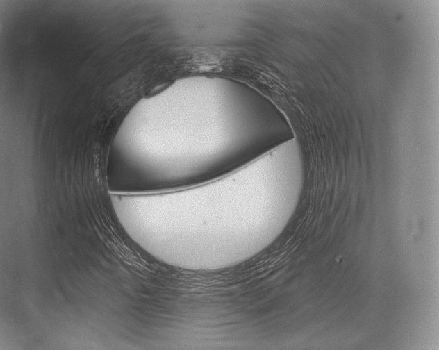 X0000076391442200610060851