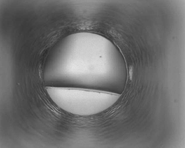 X0000076391444200610060851