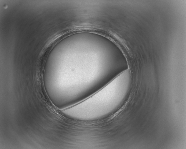 X0000076391453200610060851