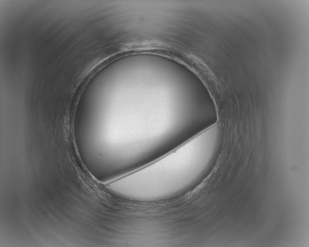 X0000076391457200610060851