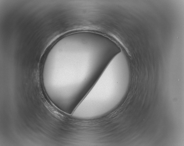 X0000076391460200610060851
