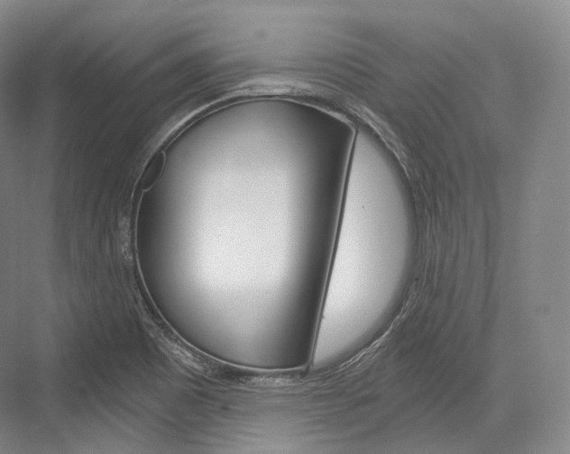 X0000076391465200610060851