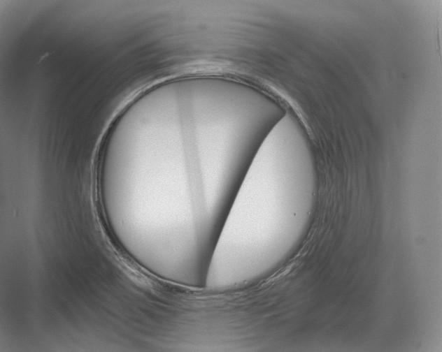 X0000076391467200610060851