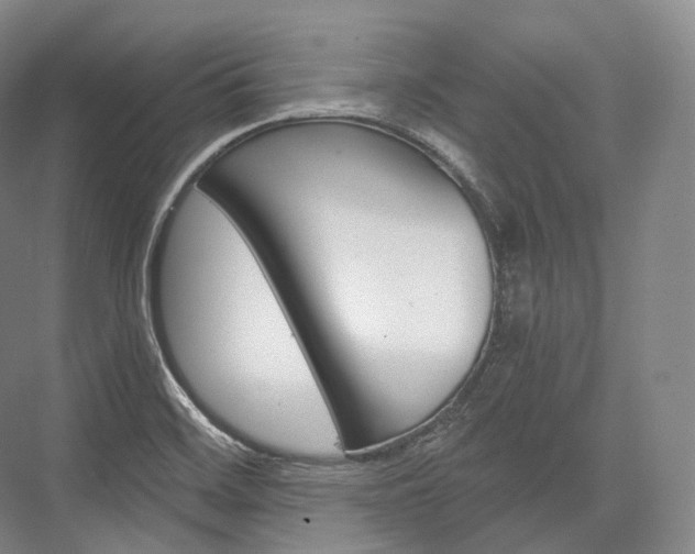 X0000076391468200610060851