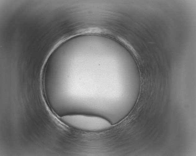 X0000076391475200610060851