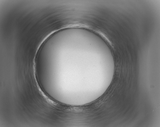 X0000076391476200610060851