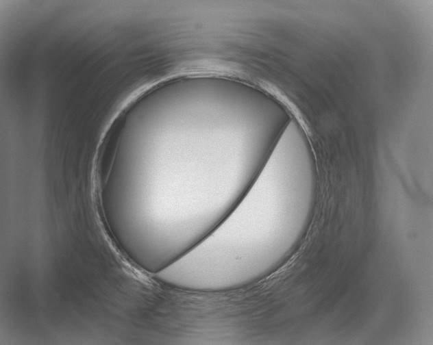 X0000076391477200610060851