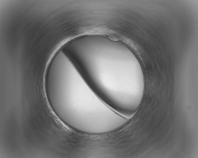 X0000076391480200610060851