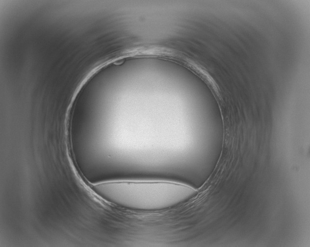 X0000076391483200610060851