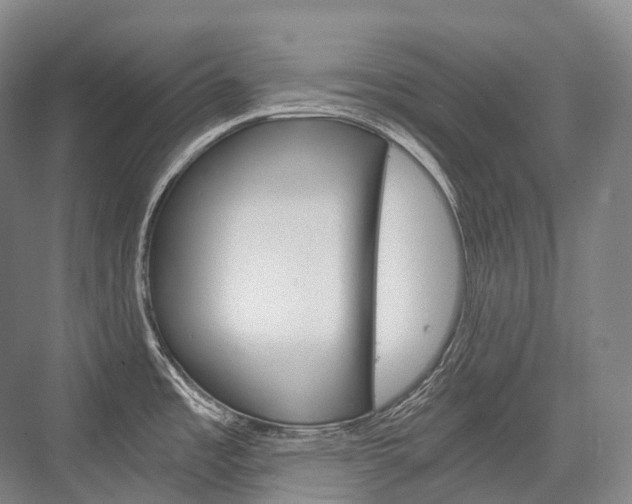 X0000076391485200610060851