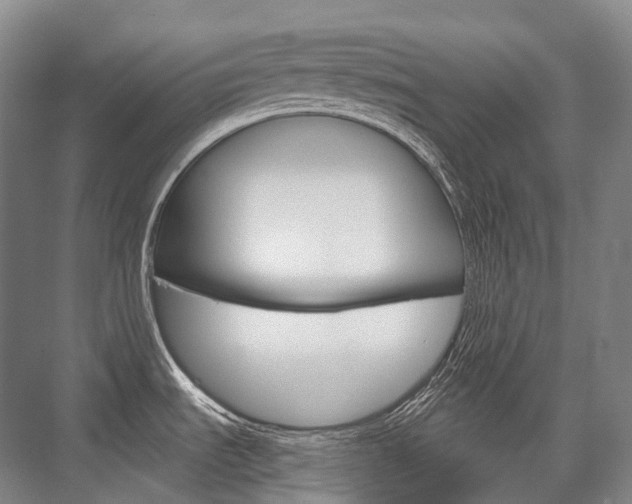 X0000076391535200610060851