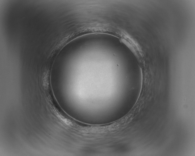 X0000076390009200610061202