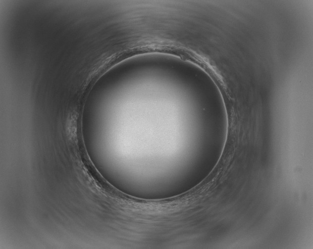X0000076390010200610061202