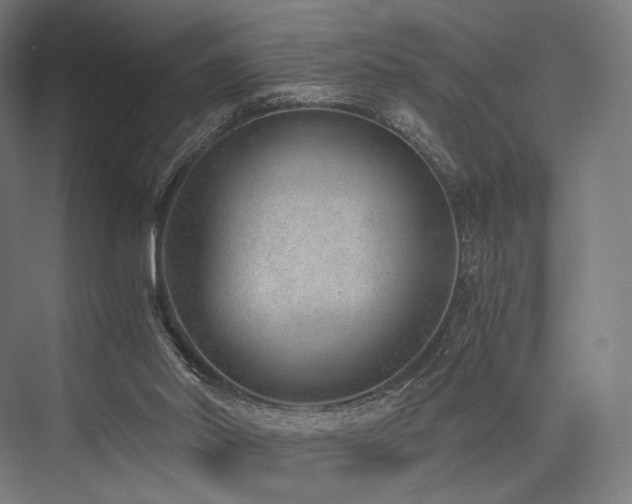 X0000076390014200610061202