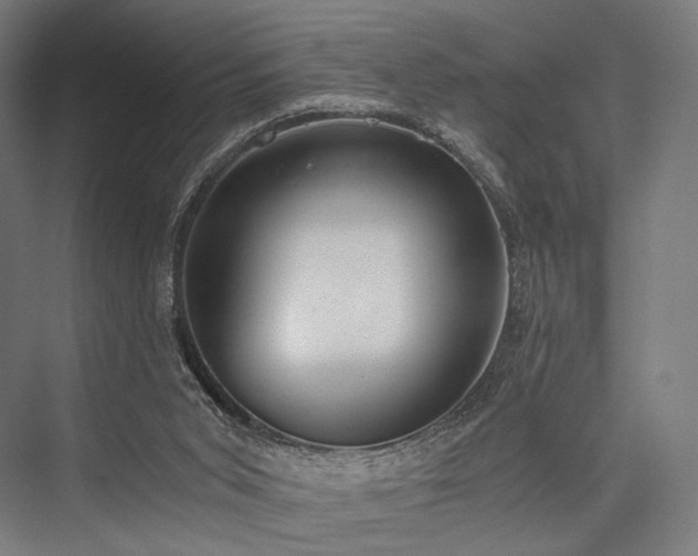 X0000076390015200610061202