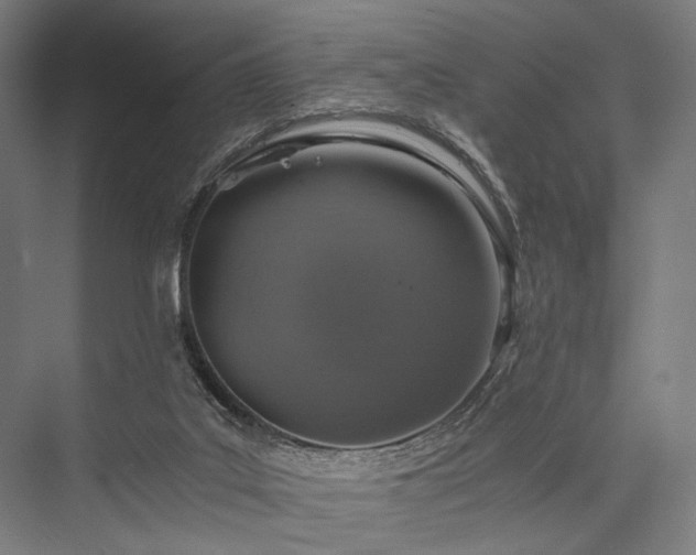 X0000076390019200610061202