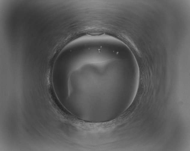 X0000076390023200610061202