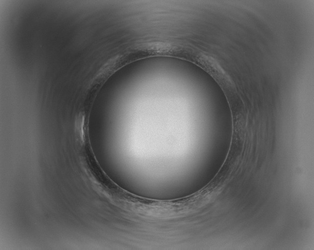 X0000076390024200610061202