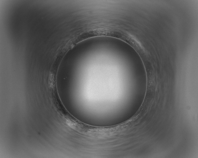 X0000076390025200610061202