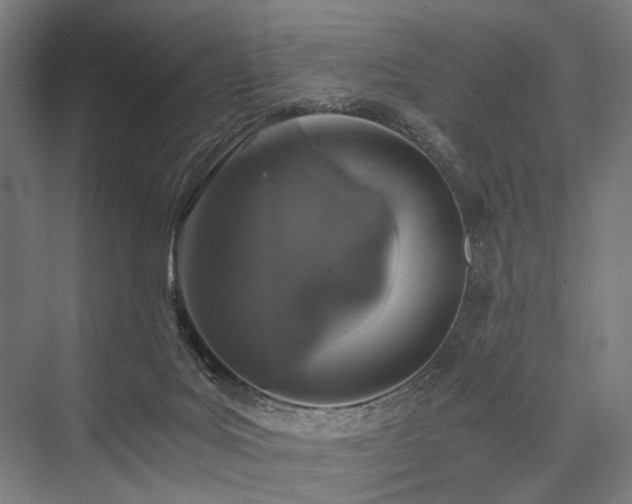 X0000076390027200610061202