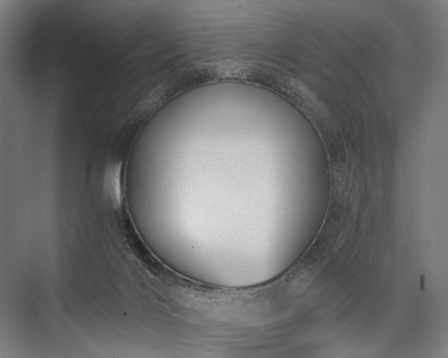 X0000076390028200610061202
