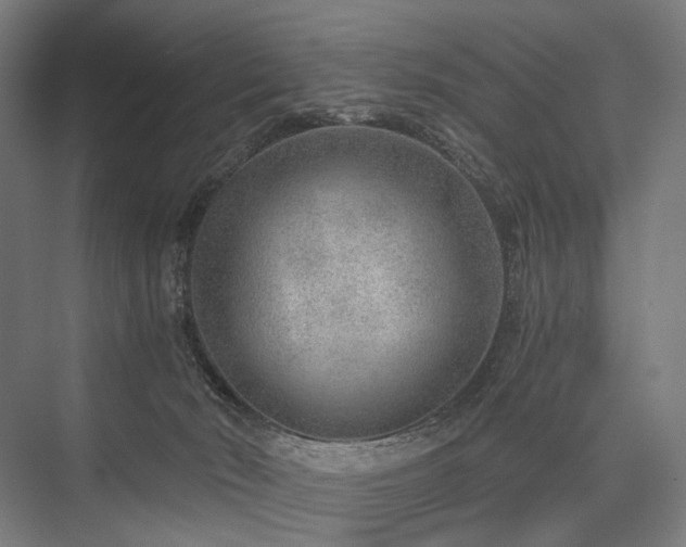 X0000076390030200610061202