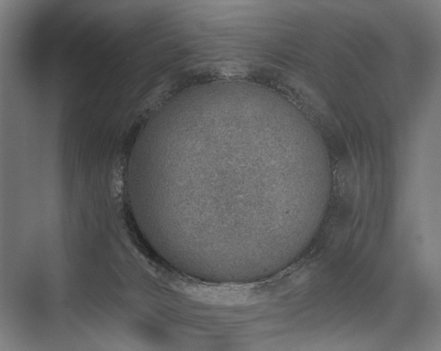 X0000076390032200610061202