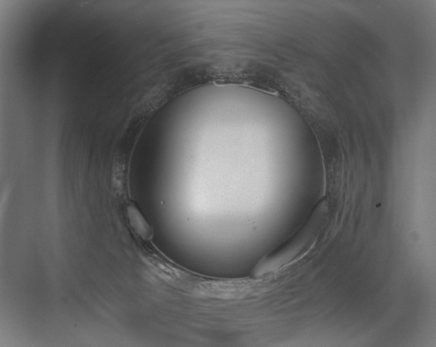 X0000076390033200610061202