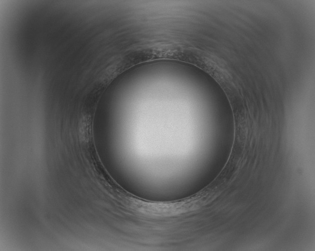 X0000076390034200610061202