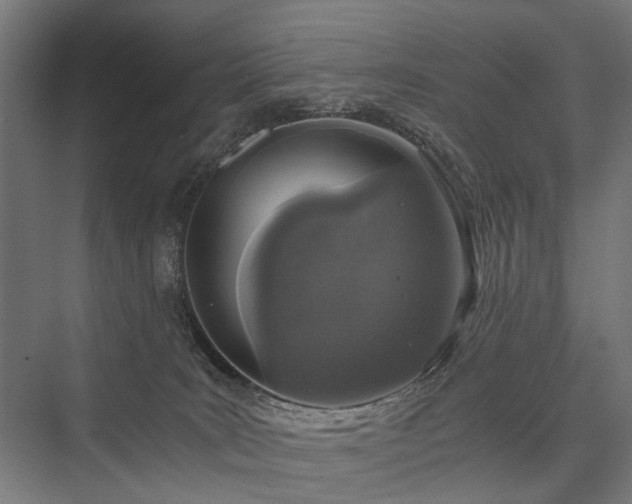 X0000076390035200610061202