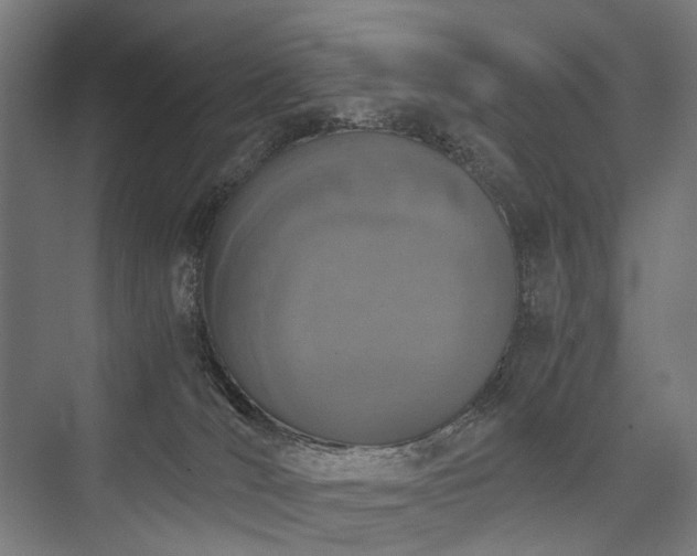 X0000076390036200610061202