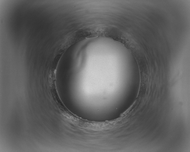 X0000076390037200610061202