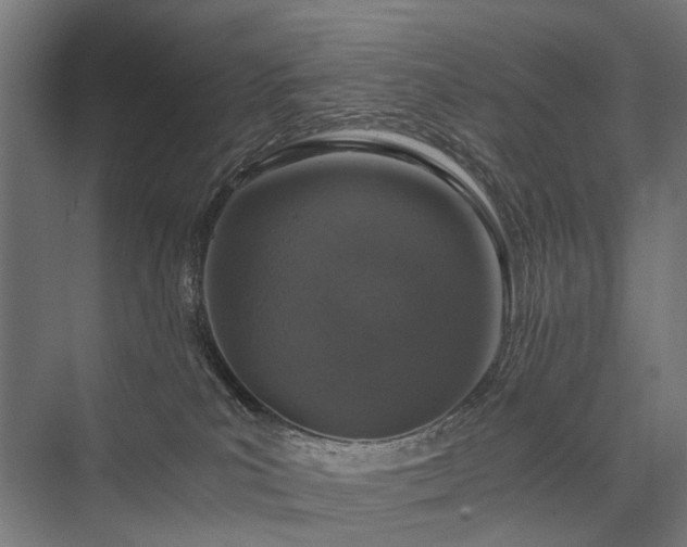 X0000076390039200610061202