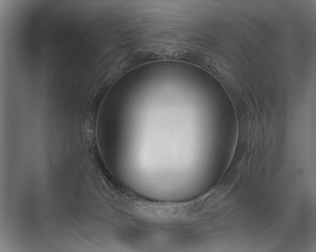 X0000076390040200610061202