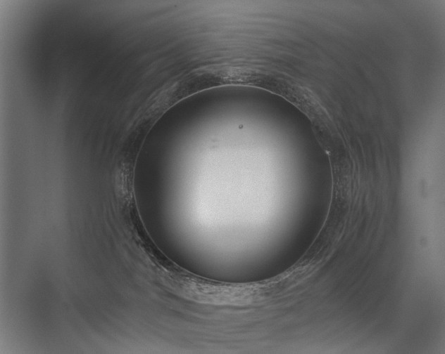 X0000076390044200610061202