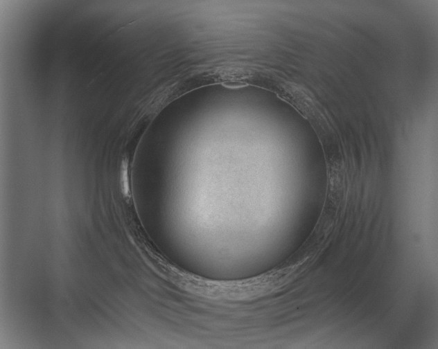 X0000076390046200610061202