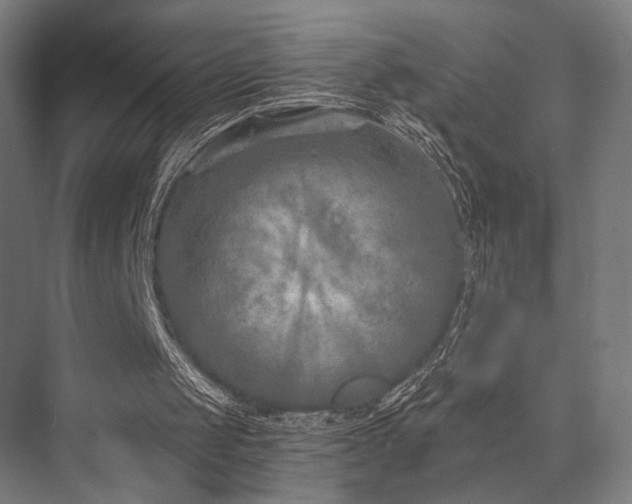 X0000076390049200610061201