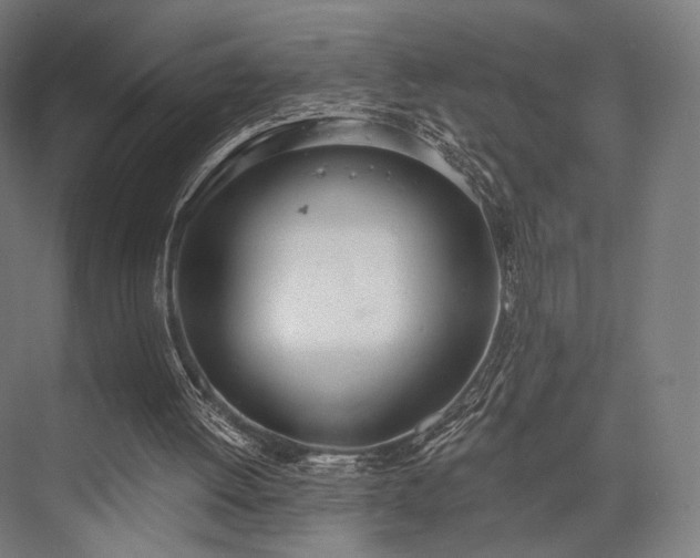 X0000076390052200610061201