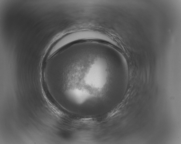 X0000076390054200610061201