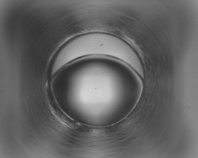 X0000076390060200610061201