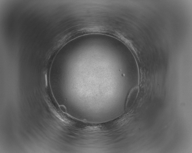 X0000076390061200610061201
