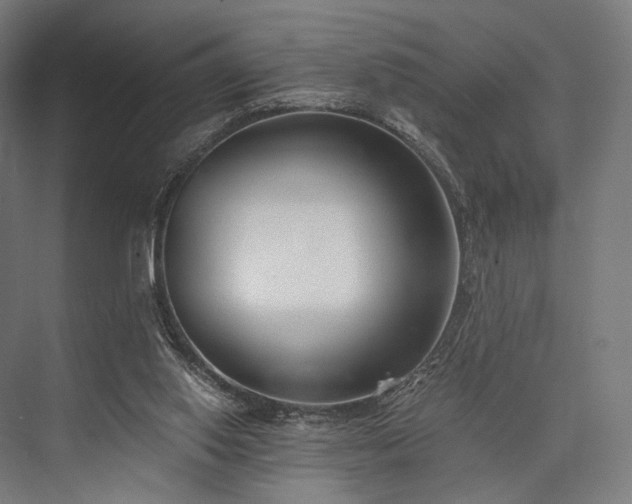 X0000076390062200610061201