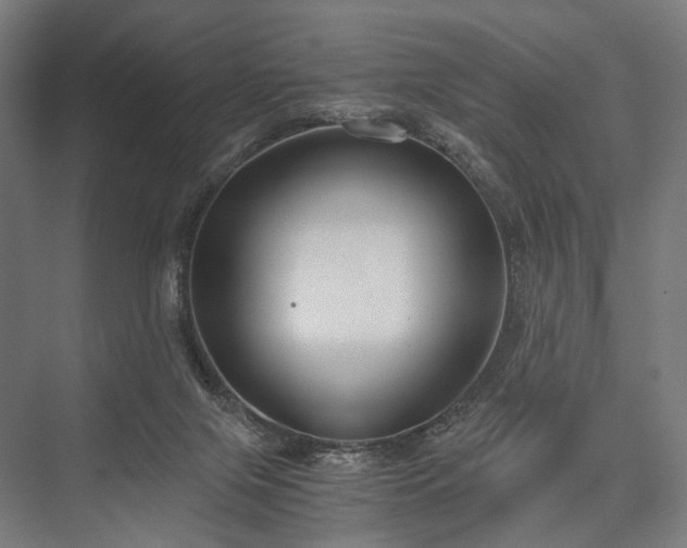 X0000076390071200610061201