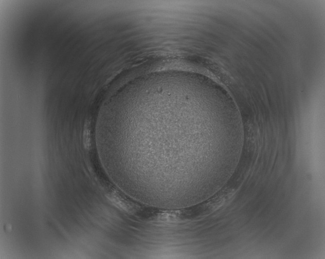 X0000076390080200610061201