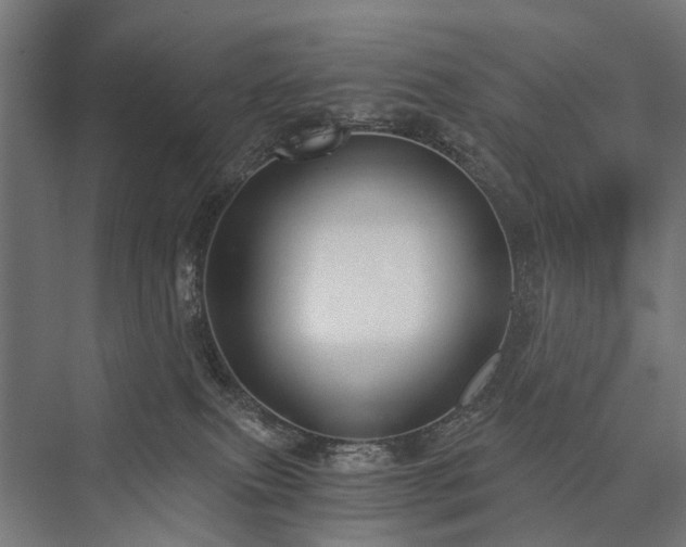 X0000076390087200610061202