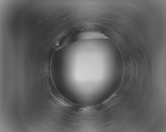 X0000076390092200610061202