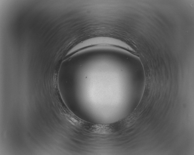 X0000076390093200610061202