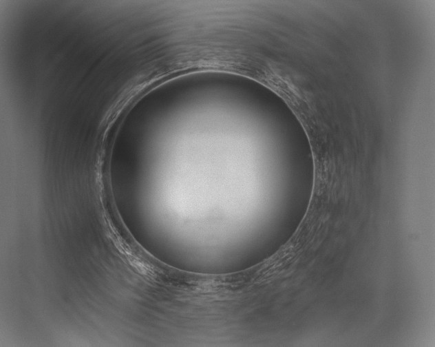 X0000076390098200610061201