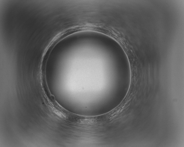 X0000076390102200610061201
